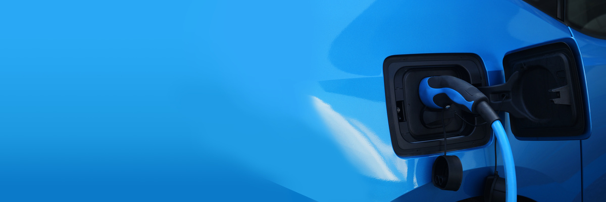 Switch for Circuits and Fuses